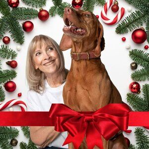 Unlisted Items for Holiday Posh Live Show!